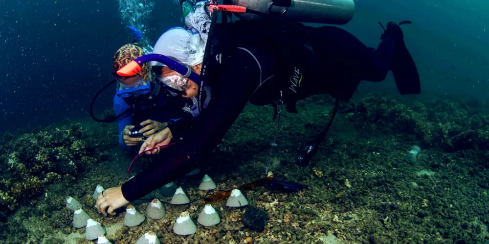 Maestría en Restauración Ecológica Maestría en Restauración Ecológica