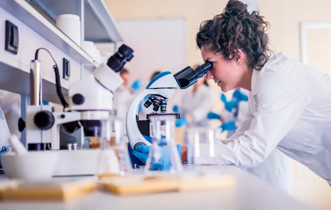 Investigación Investigación