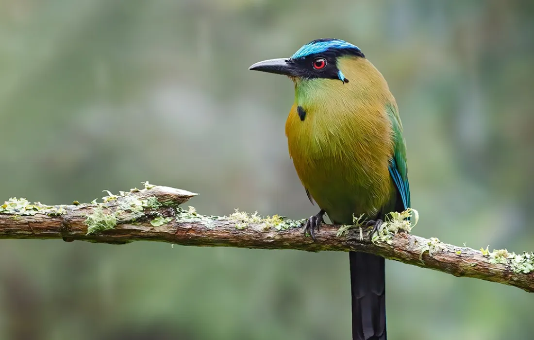 BirdFair2023 BirdFair2023