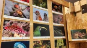 Consorcio Colombia BioConecta, un compromiso con la conservación de la biodiversidad Consorcio Colombia BioConecta, un compromiso con la conservación de la biodiversidad