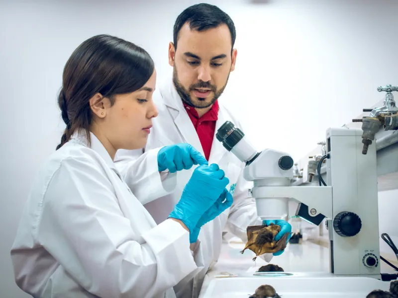 Biología Javeriana Cali Biología Javeriana Cali