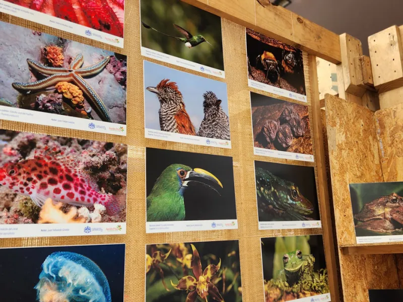 Consorcio Colombia BioConecta, un compromiso con la conservación de la biodiversidad Consorcio Colombia BioConecta, un compromiso con la conservación de la biodiversidad