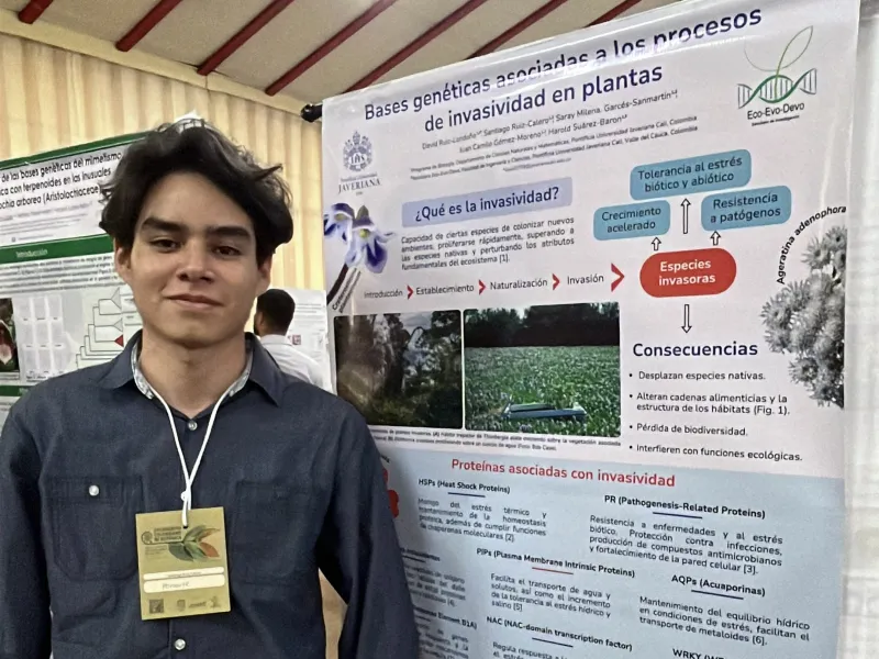 Botánica Botánica