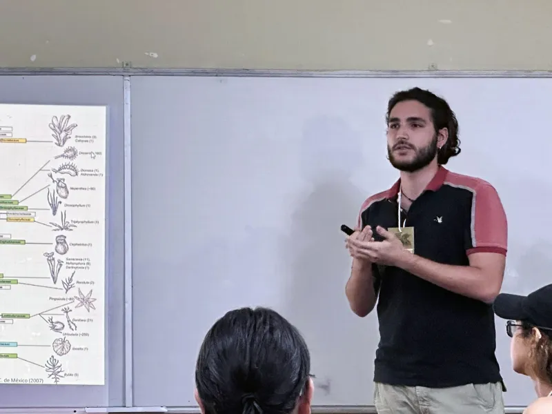Botánica Botánica