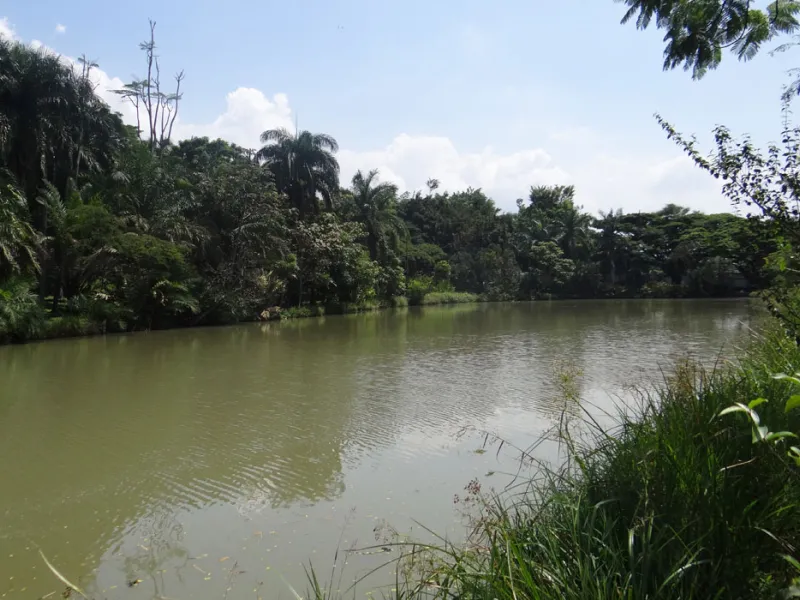 Gobernanza público-comunitaria, la clave para la protección de los humedales urbanos 